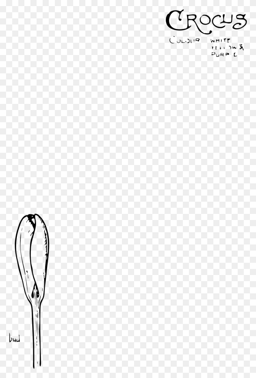 877x1324 Этот Бесплатный Дизайн Иконок Крокус Цветок Крокус, Серый, Мир Варкрафта Png Скачать
