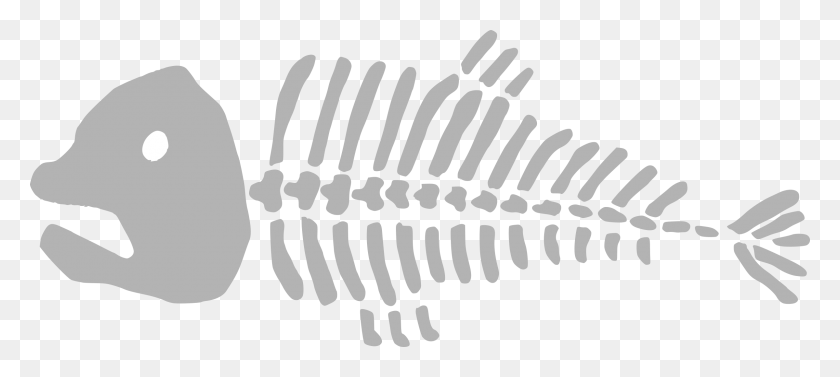 2400x978 Этот Бесплатный Дизайн Иконок Мертвой Рыбы, Скелет, Ископаемое Png Скачать