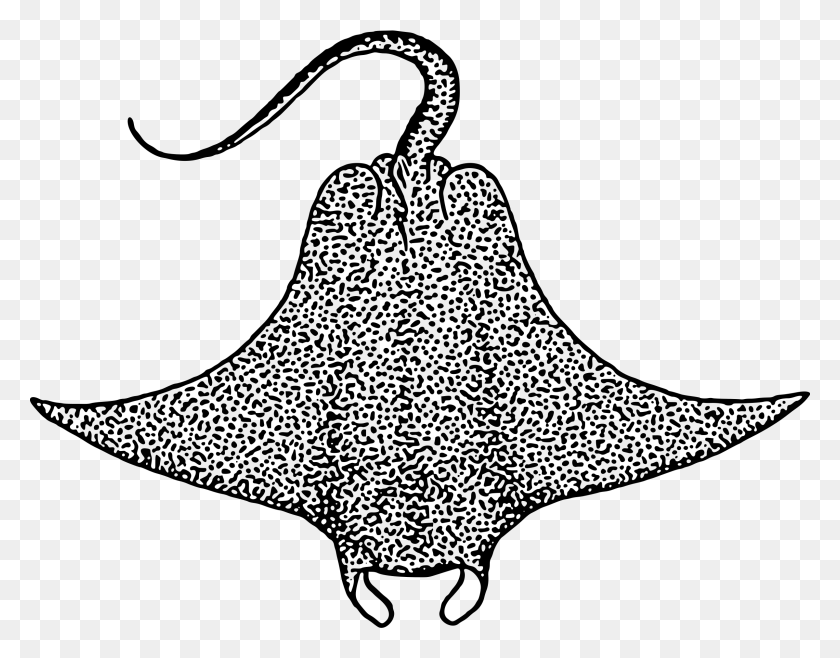 2400x1841 Этот Бесплатный Дизайн Иконок Дьявольской Рыбы, Серый, Мир Варкрафта Png Скачать
