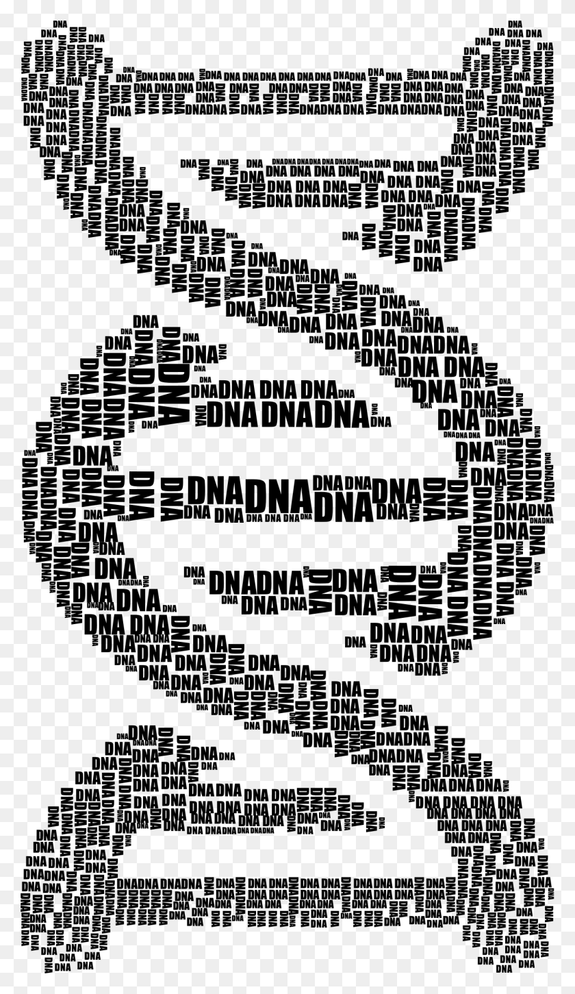 1290x2302 This Free Icons Design Of Dna Strand Word Cloud, Gray, World Of Warcraft HD PNG Download