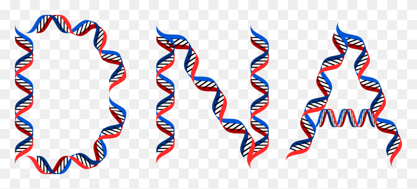 2310x952 This Free Icons Design Of Dna Typography Dna .png, Interior Design, Indoors, Graphics HD PNG Download