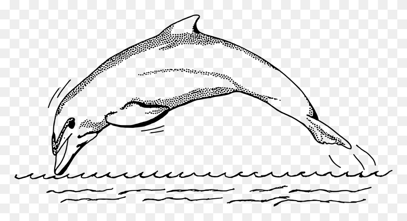 2400x1221 This Free Icons Design Of Dolphin 1 Drawings Of Pink Dolphins, Gray, World Of Warcraft HD PNG Download
