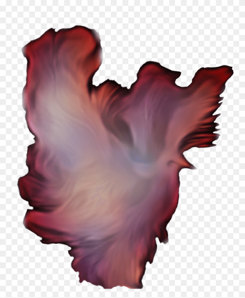 1350x1665 This Free Icons Design Of Dove Fantasy Flame Rojo, Fuego, Invertebrado, Animal Hd Png