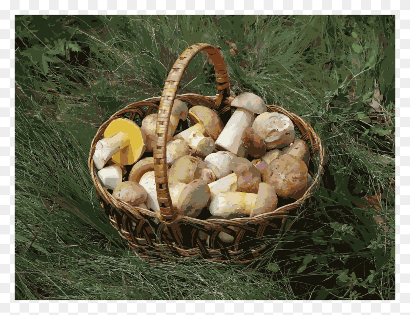 2400x1800 This Free Icons Design Of Edible Fungi In Basket Edible Mushroom Basket, Plant, Fungus, Agaric HD PNG Download