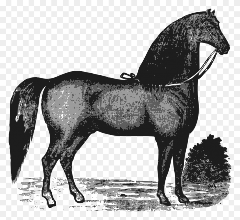 2400x2188 Этот Бесплатный Дизайн Иконок Элегантная Лошадь Лошадь, Млекопитающее, Животное, Жеребенок Png Скачать