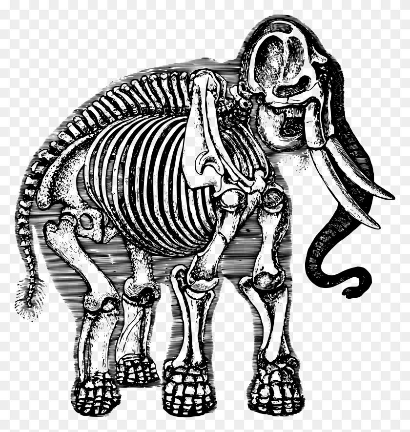 2268x2400 This Free Icons Design Of Elephant Skeleton, Gray, World Of Warcraft HD PNG Download