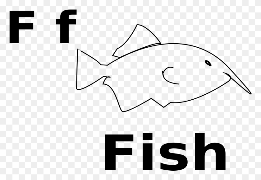 1330x884 This Free Icons Design Of F For Fish Cartoon, Gray, World Of Warcraft HD PNG Download