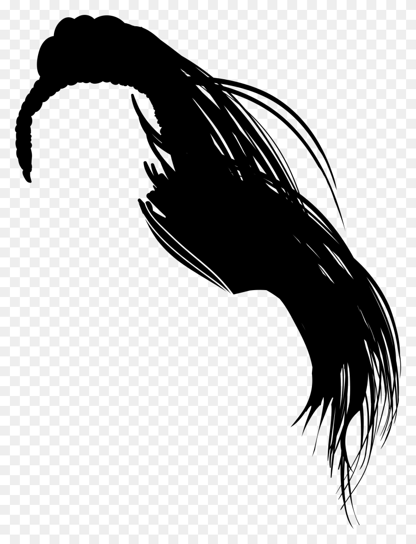 1728x2302 This Free Icons Design Of Female Hair Silhouette, Gray, World Of Warcraft HD PNG Download