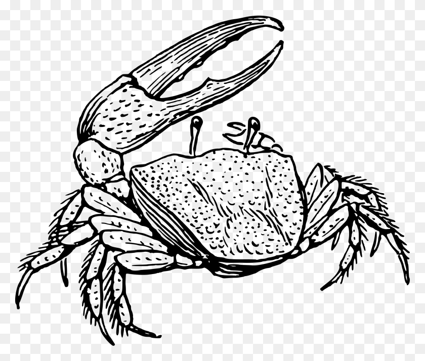 2400x2014 This Free Icons Design Of Fiddler Crab, Gray, World Of Warcraft HD PNG Download
