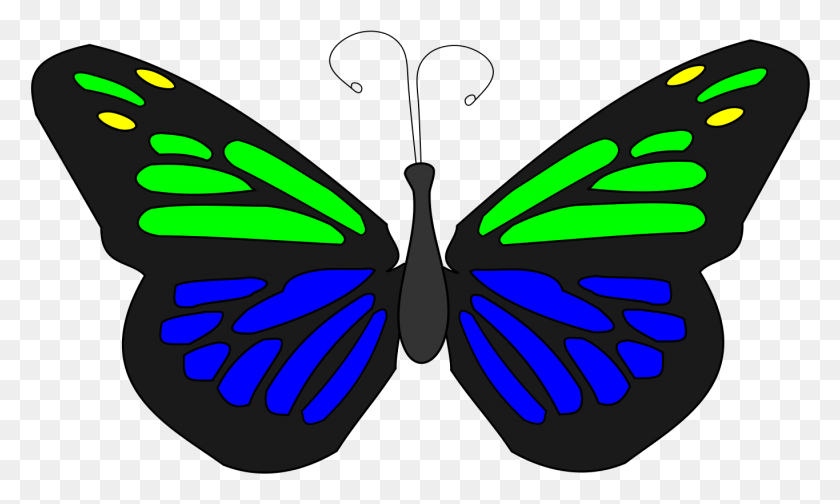 1365x778 Diseño De Iconos Gratis De Mariposa Flotante Animación, Insecto, Invertebrado, Animal Hd Png Descargar