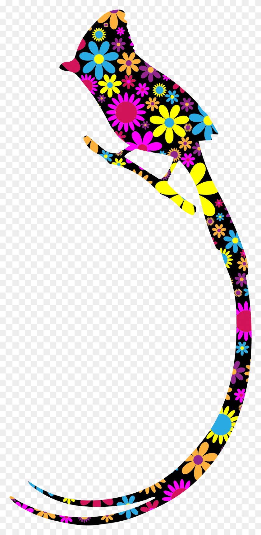 1100x2340 Этот Бесплатный Дизайн Иконок Цветочной Длиннохвостой Птицы, Графика, Бумага Hd Png Скачать