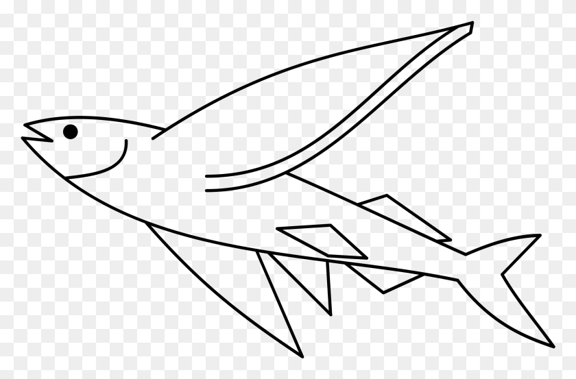 2162x1367 This Free Icons Design Of Flying Fish Negative, Gray, World Of Warcraft HD PNG Download