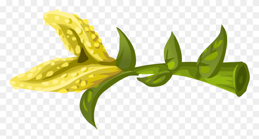 2400x1206 This Free Icons Design Of Herbs Yellow Crumb Flower, Plant, Leaf, Vegetation HD PNG Download