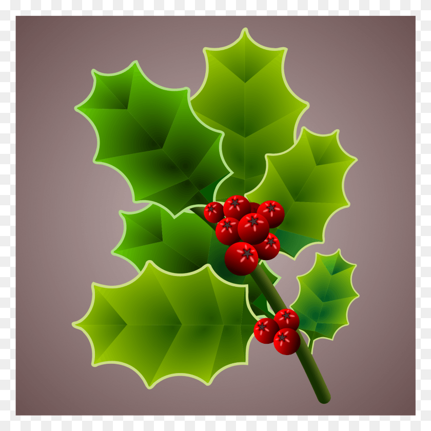 1636x1637 This Free Icons Design Of Holly Branch, Leaf, Plant, Fruit HD PNG Download
