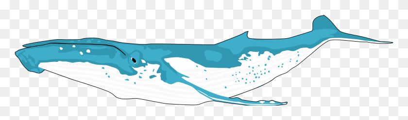 2400x581 Этот Бесплатный Дизайн Иконок Горбатого Кита Картинки Горбатый Кит, Море, На Открытом Воздухе, Вода Png Скачать
