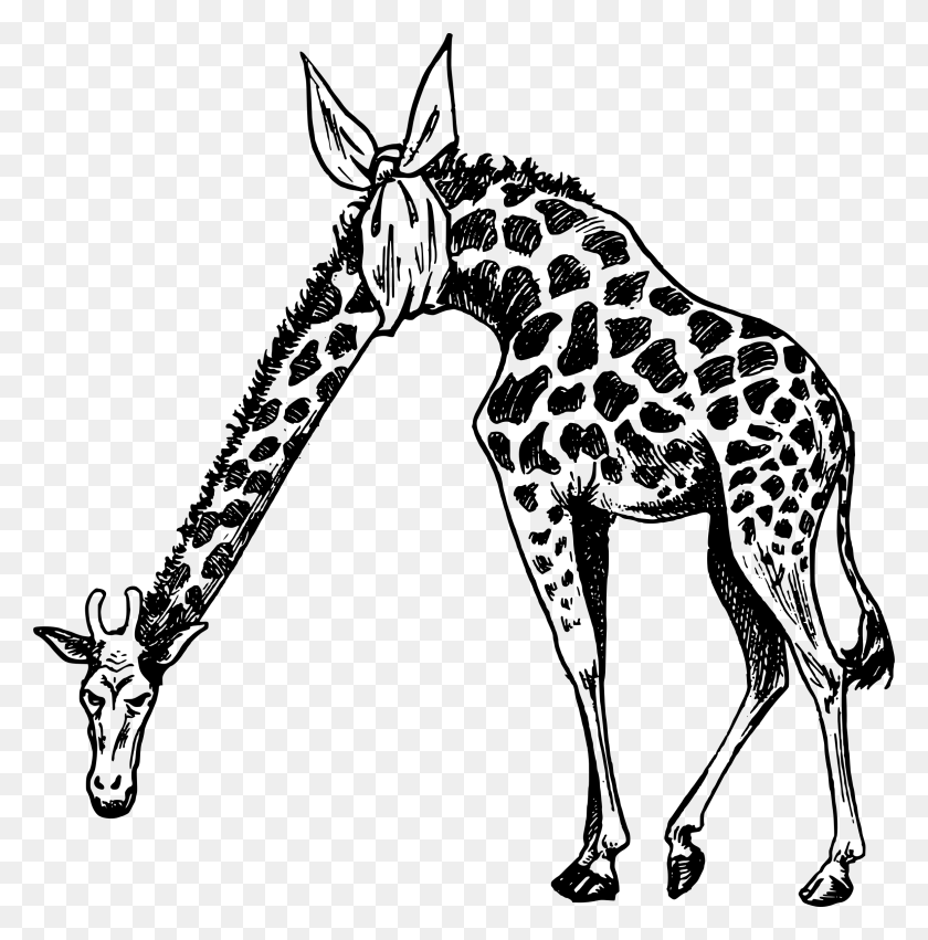 2364x2400 This Free Icons Design Of Hurt Neck Giraffe, Gray, World Of Warcraft HD PNG Download