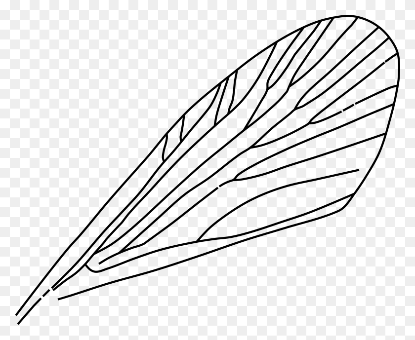 2400x1937 Этот Бесплатный Дизайн Иконок Крыла Насекомого, Серый, Мир Варкрафта Png Скачать