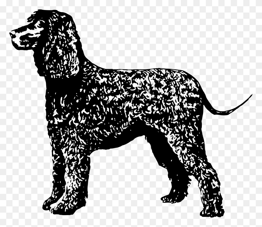 2400x2051 This Free Icons Design Of Irish Water Spaniel, Gray, World Of Warcraft Hd Png