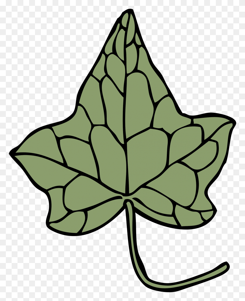1928x2400 This Free Icons Design Of Ivy Leaf, Plant, Tree, Ornament HD PNG Download