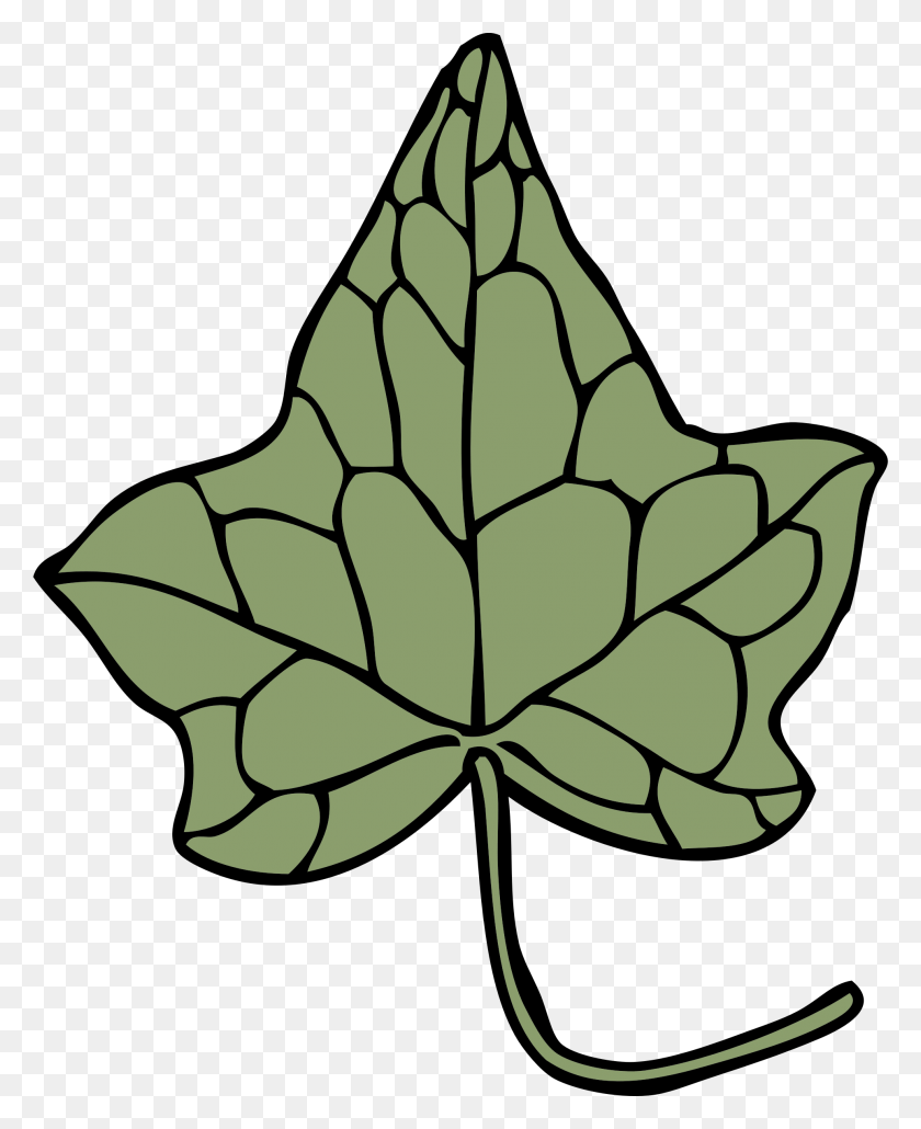 1928x2400 This Free Icons Design Of Ivy Leaf, Plant, Tree, Ornament Descargar Hd Png