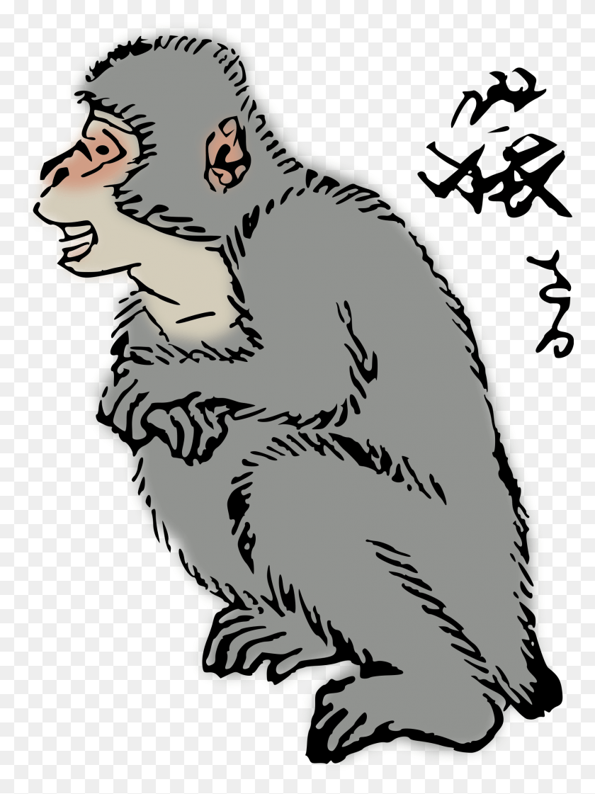 1763x2400 This Free Icons Design Of Japanese Macaque Macaque Clip Art, Mammal, Animal, Wildlife HD PNG Download