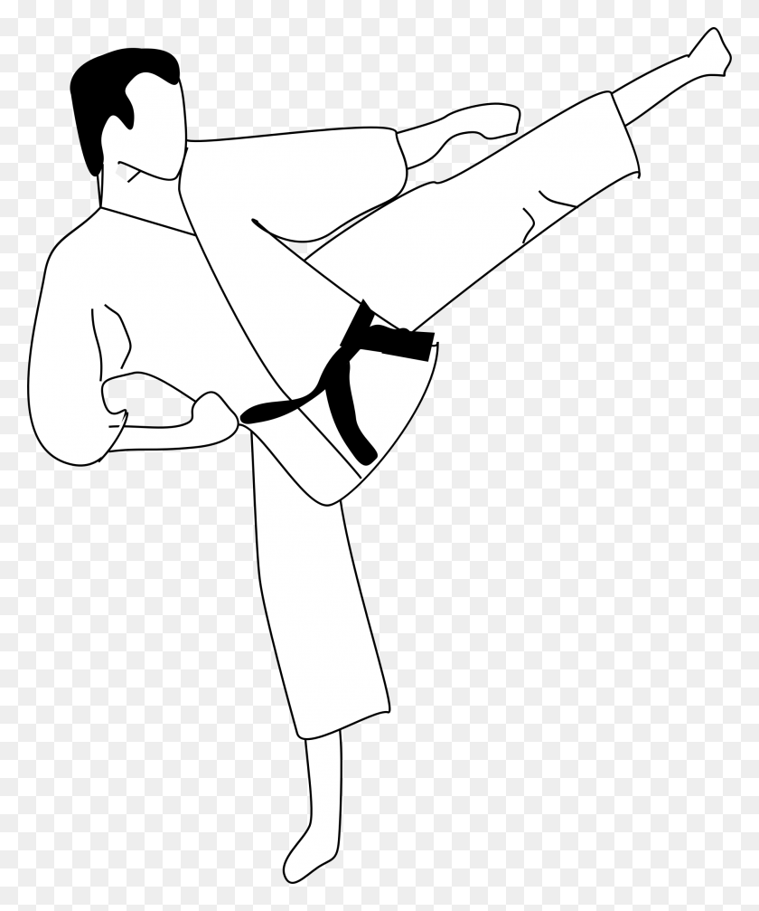 1975x2400 Descargar Png / Diseño De Iconos Gratis De Karate Kick Karate Black Belt Cartoon, Hacha, Herramienta, Deporte Hd Png
