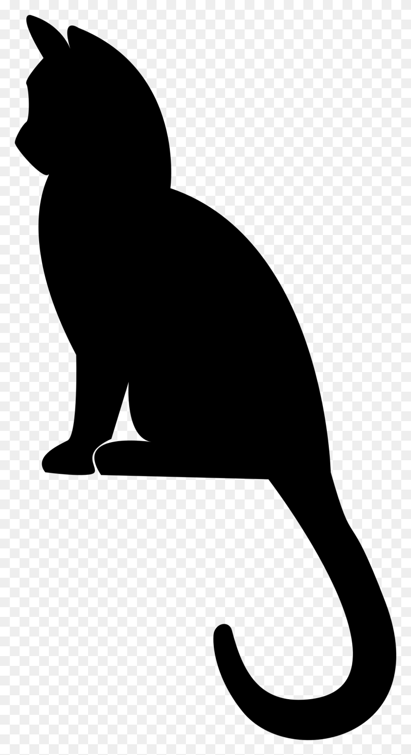 1169x2222 This Free Icons Design Of Kitten Silhouette, Gray, World Of Warcraft HD PNG Download