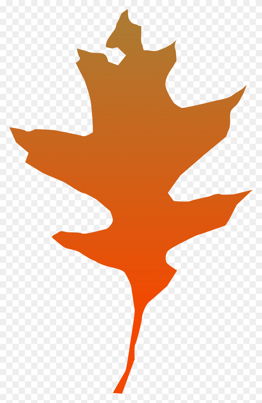 1522x2400 This Free Icons Design Of Leaf Oak Clip Art, Plant, Maple Leaf, Person HD PNG Download