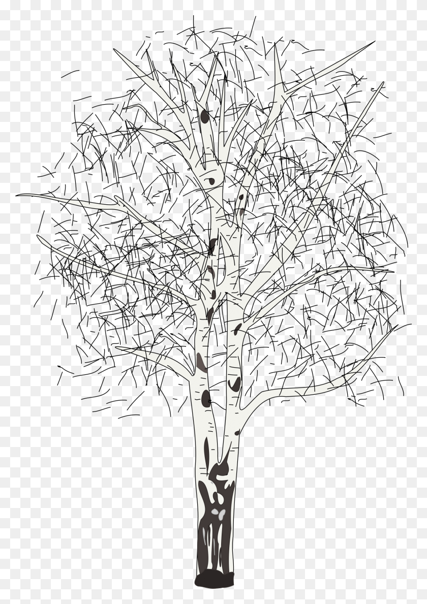 1658x2400 Этот Бесплатный Дизайн Иконок Из Безлистной Березы, Дерево, Растение, Ствол Дерева Png Скачать