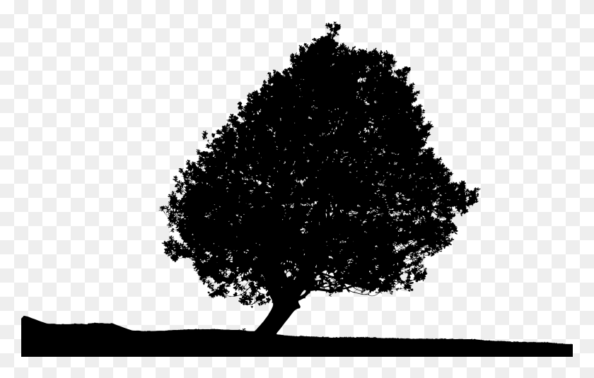 2400x1462 This Free Icons Design Of Lonely Tree Silhouette, Gray, World Of Warcraft HD PNG Download