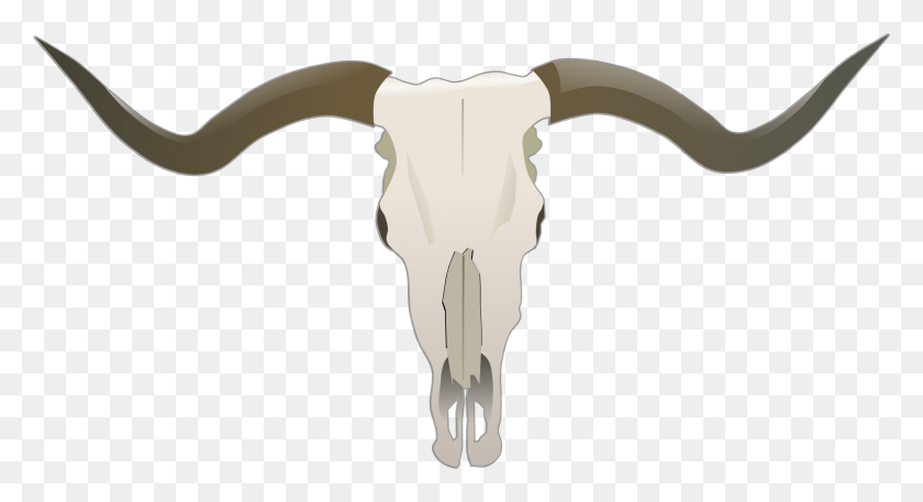 2278x1162 This Free Icons Design Of Longhorn Skull, Ganado, Mamífero, Animal Hd Png Descargar
