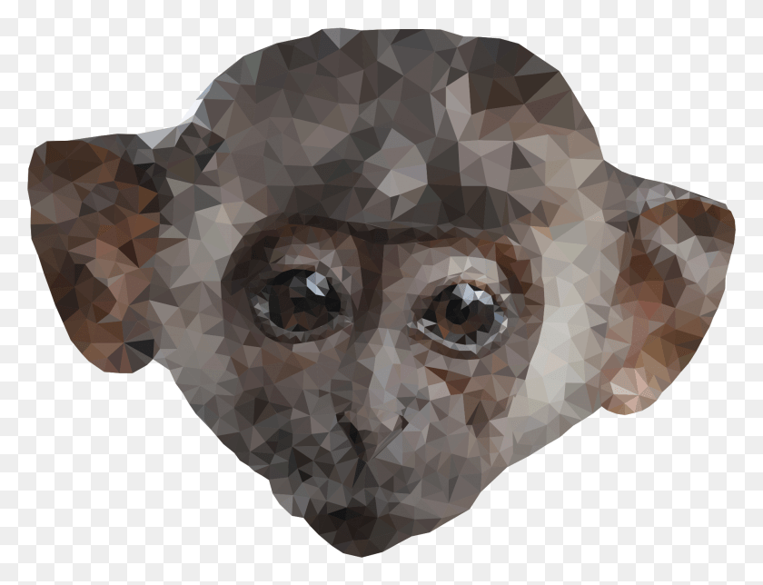 1908x1430 This Free Icons Design Of Low Poly Monkey, Head, Rug, Alien HD PNG Download