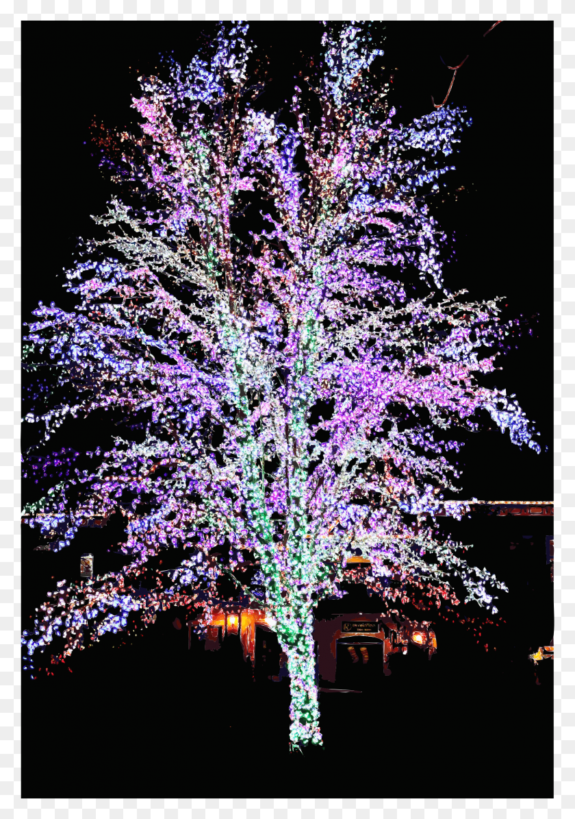 1649x2400 Этот Бесплатный Дизайн Иконок Волшебного Дерева, Освещение, Свет, Растение Hd Png Скачать