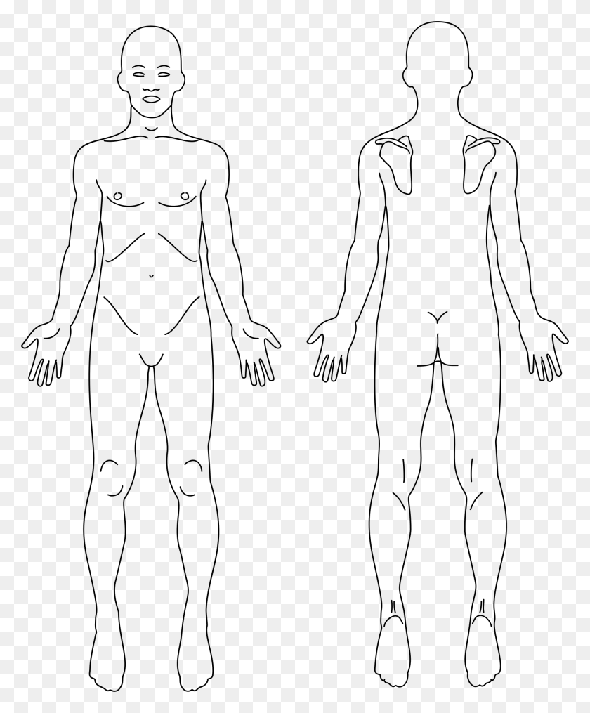 1864x2284 This Free Icons Design Of Male Anatomy Front And Anatomy Front And Back, Gray, World Of Warcraft HD PNG Download
