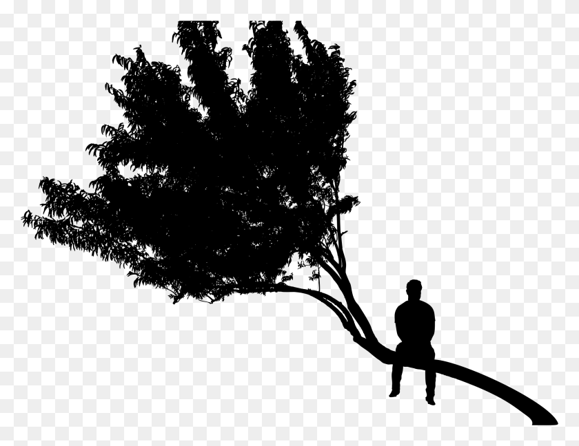 2290x1728 This Free Icons Design Of Man Sitting On Tree Silhouette, Gray, World Of Warcraft HD PNG Download