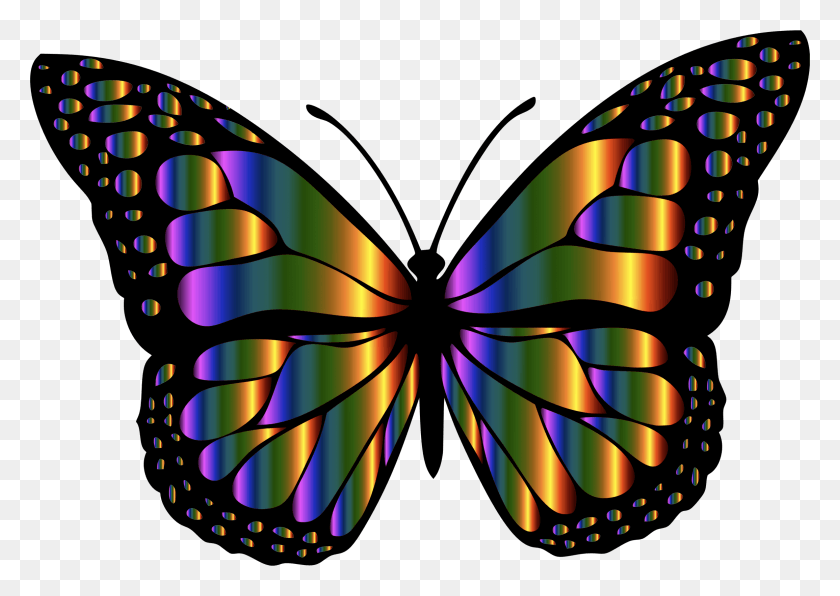 2310x1590 Этот Бесплатный Дизайн Иконок Бабочки Монарх 2 Вариация, Орнамент, Узор, Фрактал Png Скачать