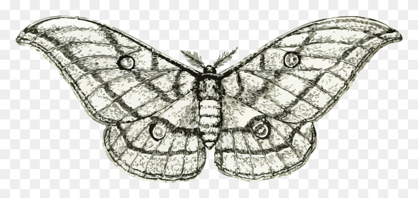 2313x1003 This Free Icons Design Of Moth 3 Moths Clipart, Diamante, Piedra Preciosa, Joyería Hd Png