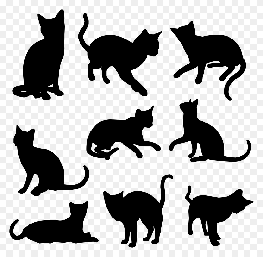 2373x2316 This Free Icons Design Of Nine Cats Silhouettes, Gray, World Of Warcraft HD PNG Download