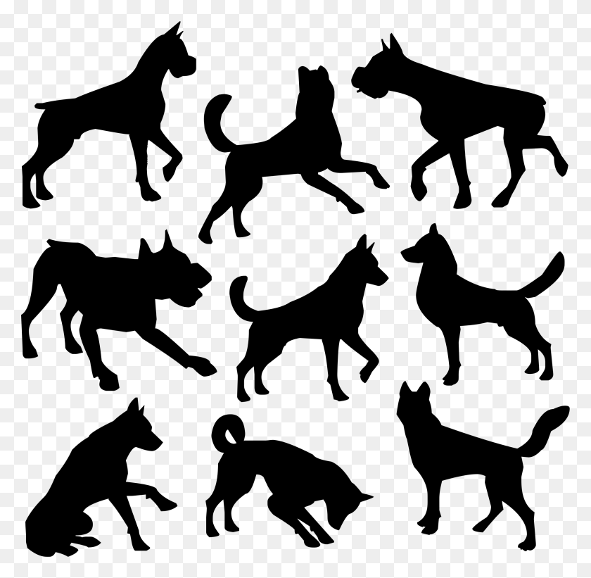 2354x2298 This Free Icons Design Of Nine Dogs Silhouettes Free Dog Silhouette, Nature, Outdoors, Night HD PNG Download