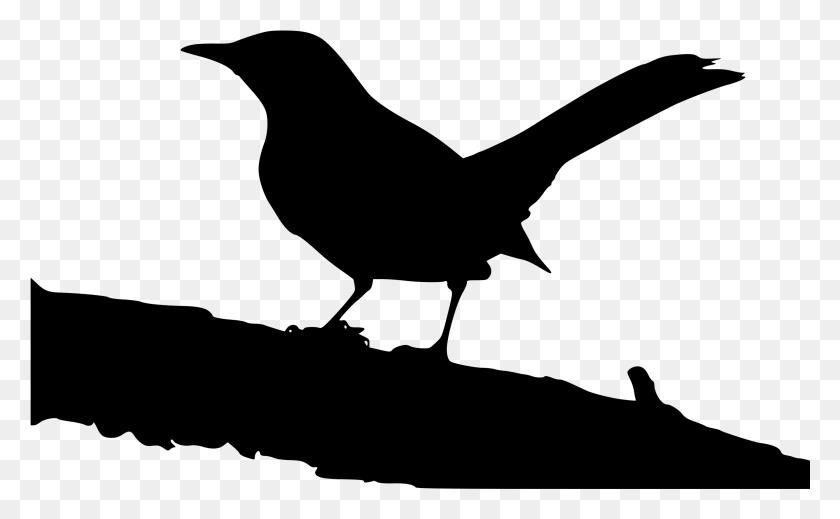 2387x1406 This Free Icons Design Of Northern Mockingbird, Gray, World Of Warcraft HD PNG Download