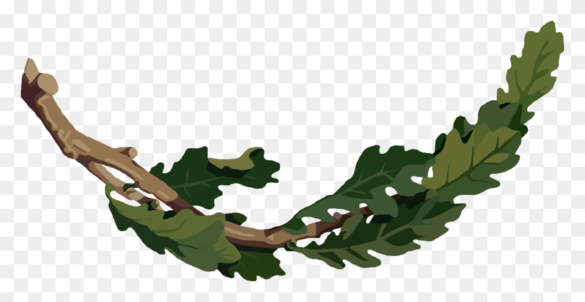 2400x1153 This Free Icons Design Of Oak Branch, Military, Military Uniform, Plant HD PNG Download