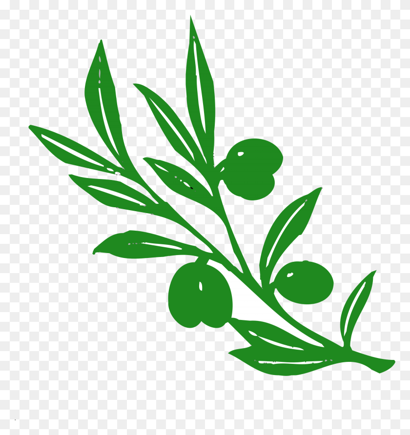 1950x2081 This Free Icons Design Of Olive Tree Branch, Plant, Vase, Jar HD PNG Download