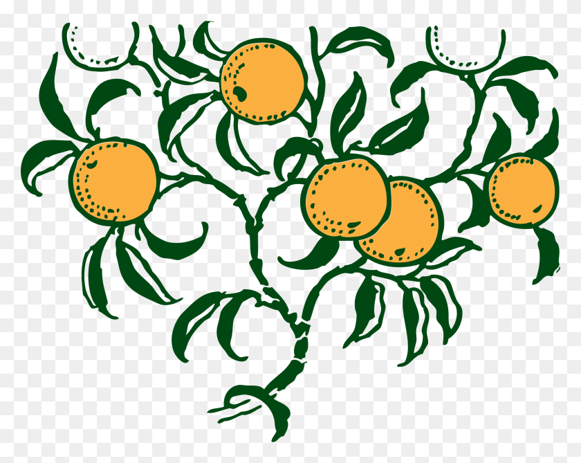 2400x1876 This Free Icons Design Of Orange Branch Orange Tree Graphic Art, Graphics, Pattern HD PNG Download