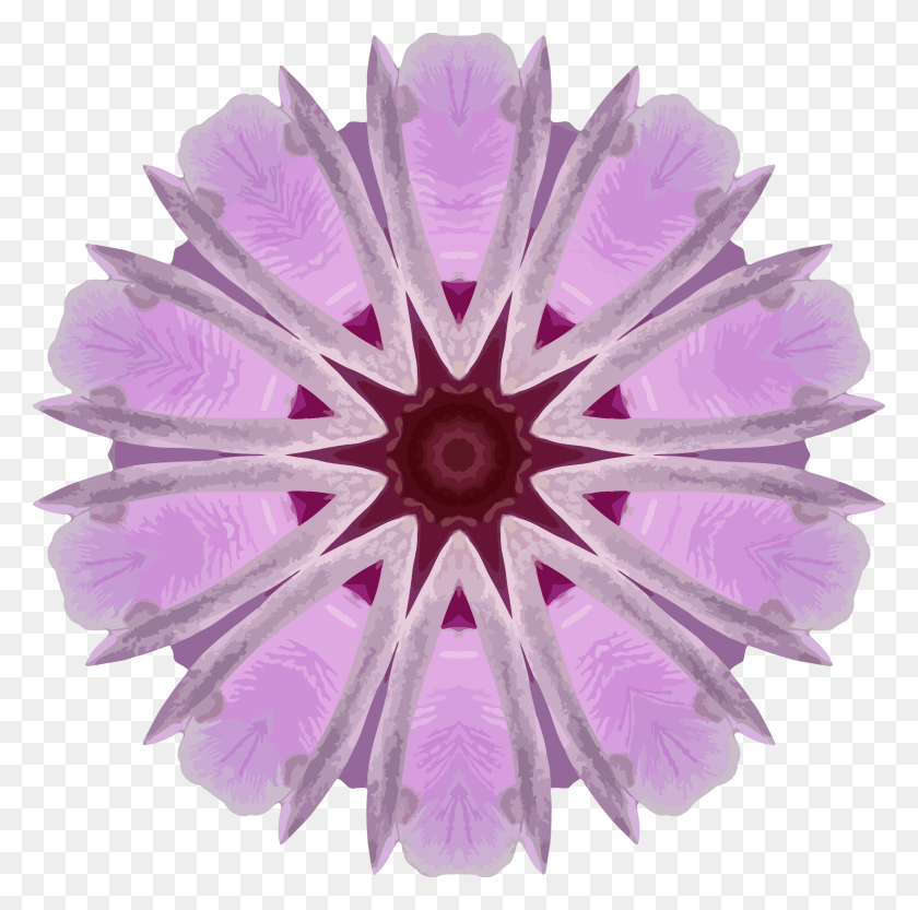 2400x2381 Этот Бесплатный Дизайн Иконок Орхидей Калейдоскоп 2 Круг, Фиолетовый, Узор, Орнамент Hd Png Скачать
