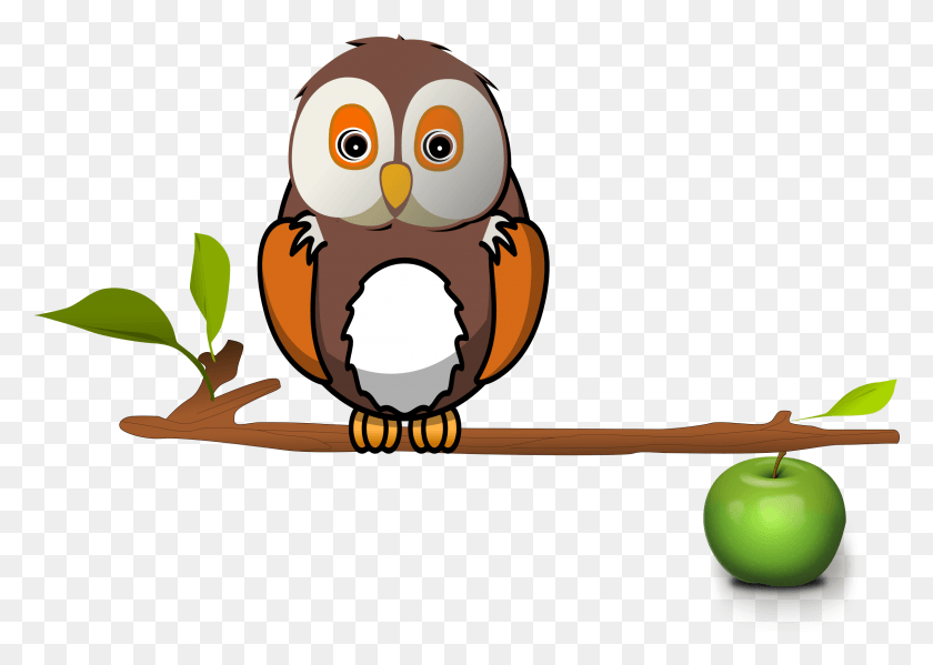 2401x1660 This Free Icons Design Of Owl On Branch, Bird, Animal, Plant HD PNG Download