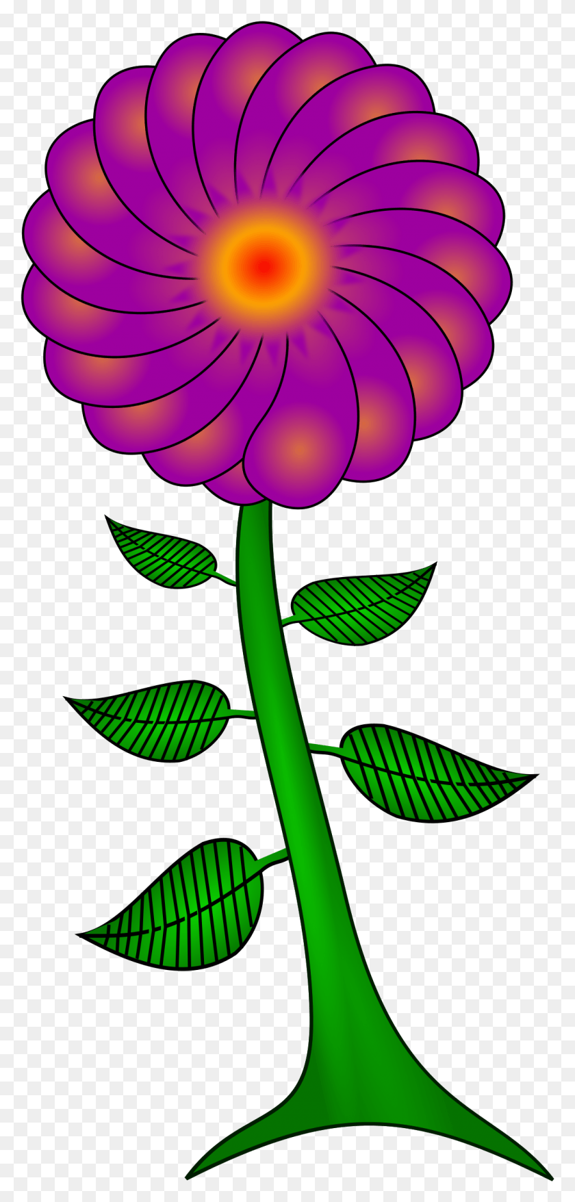 1080x2349 This Free Icons Design Of Paisley Flower, Planta, Flor, Pétalo Hd Png Descargar