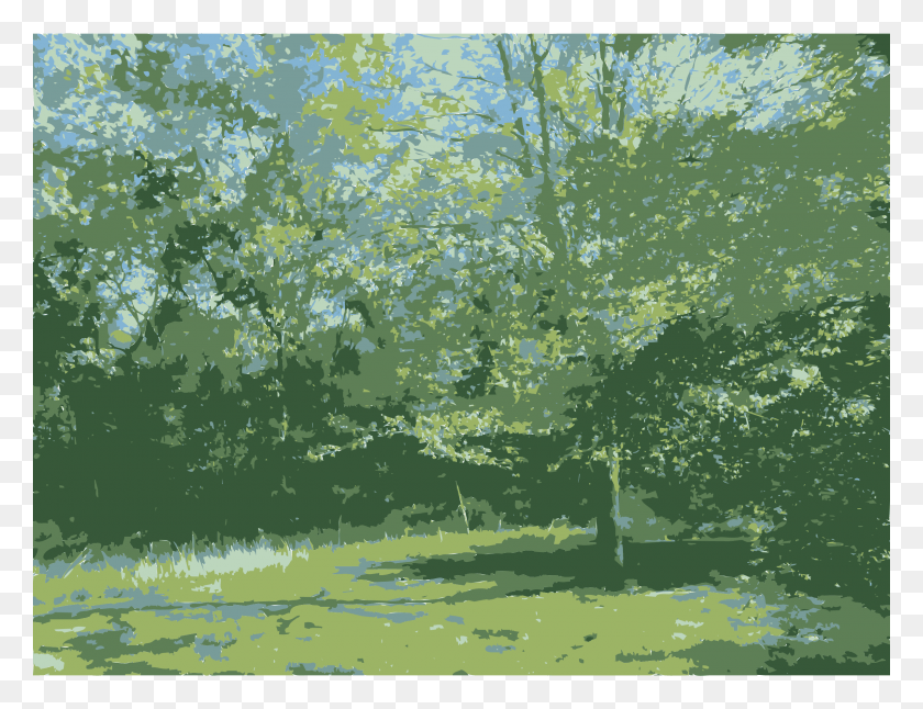 2400x1804 Этот Бесплатный Дизайн Иконок Родительского Леса В Миссури, Трава, Растение, Дерево Png Скачать