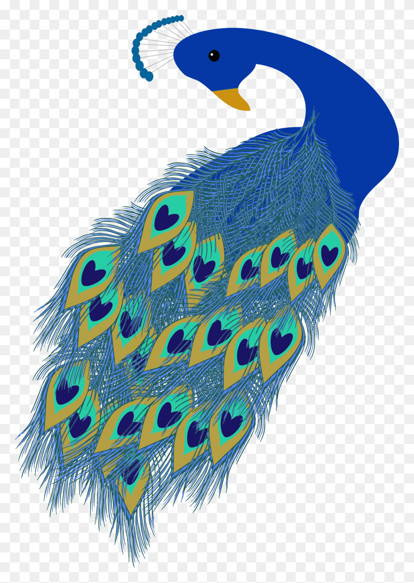 1608x2314 This Free Icons Design Of Peacock Illustration, Text, Bird, Animal HD PNG Download