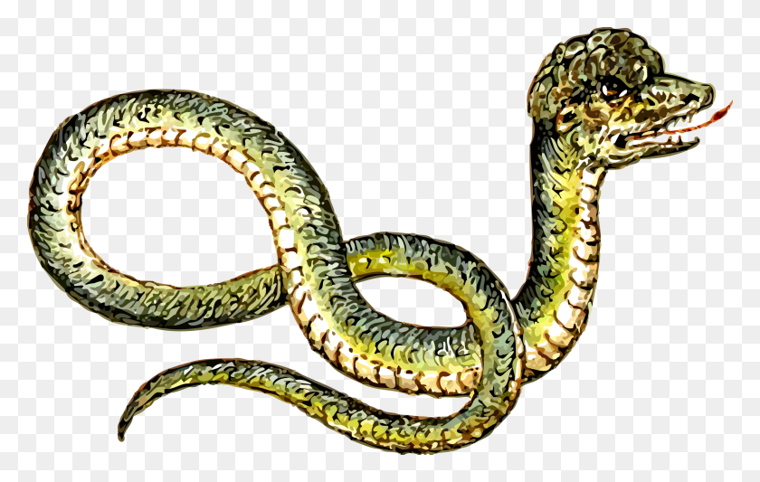 2400x1457 Этот Бесплатный Дизайн Иконок Необычной Змеи Необычный Клипарт, Рептилия, Животное, Анаконда Png Скачать