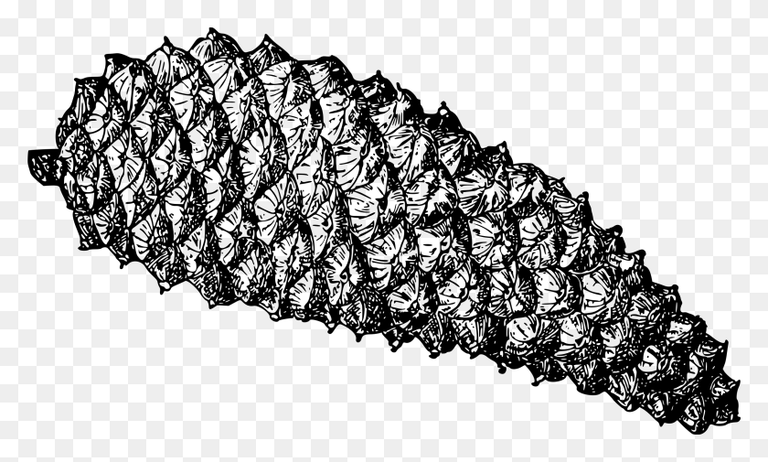 2400x1370 This Free Icons Design Of Pine Cone, Gray, World Of Warcraft HD PNG Download